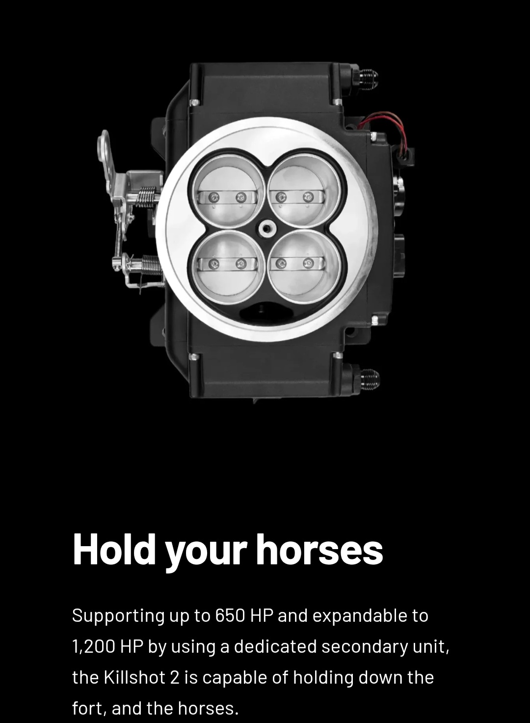 Aces Fuel Injection Killshot 2 throttle body